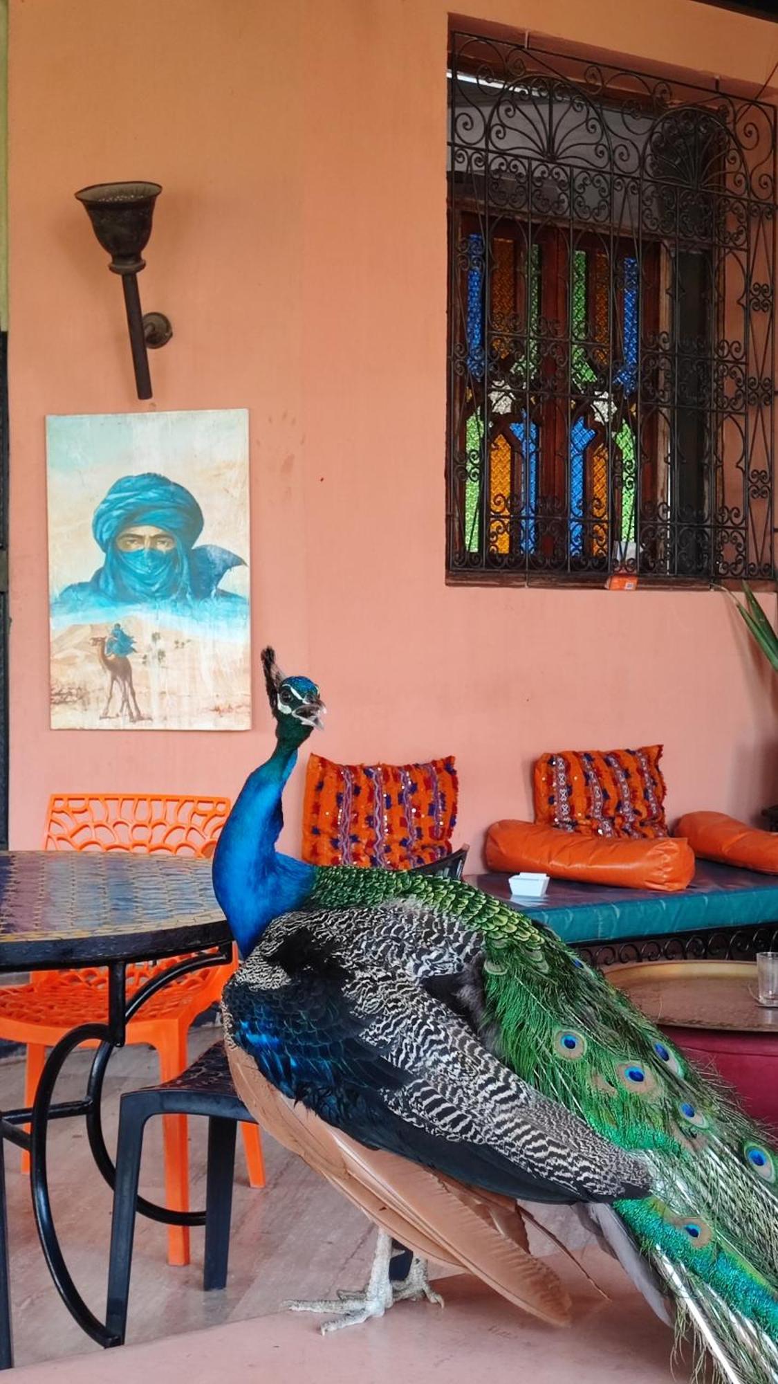 Las Palmeras Guest House Douar Caid Layadi Экстерьер фото